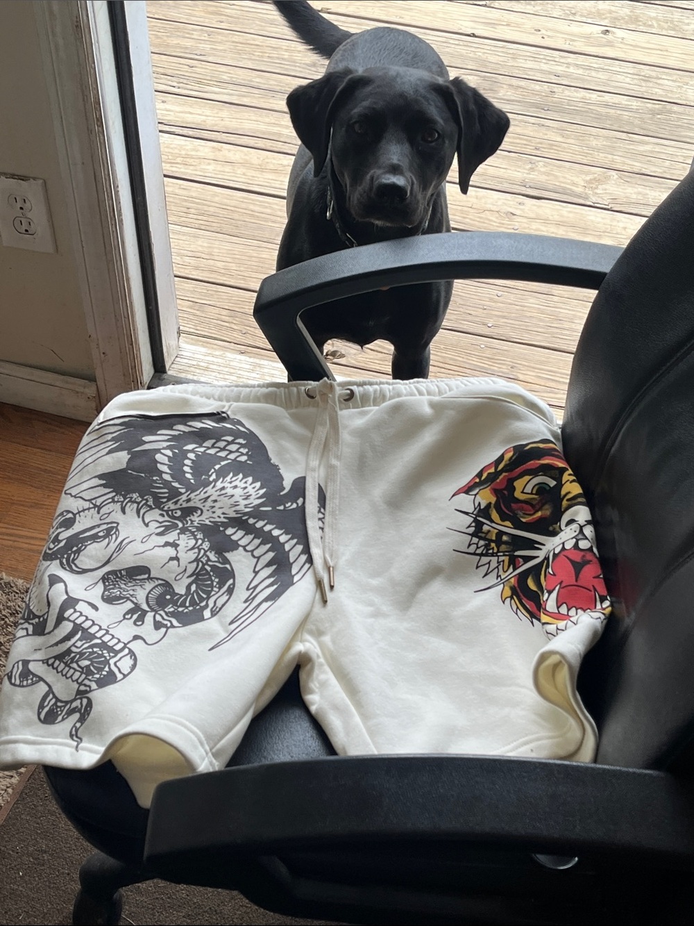 ED Hardy Shorts NWT🔥🔥!